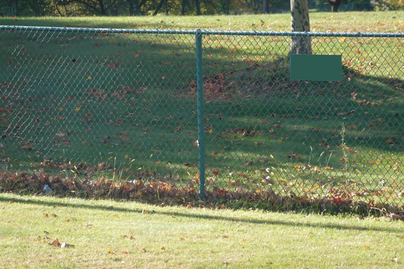 Fall Fencing Projects